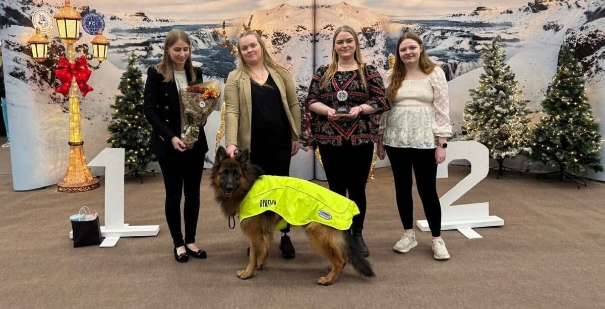 Sjálfboðaliðar Dýrfinnu á viðburði
